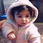 Profile Picture of Ali Bitar (@bitar688) on Instagram