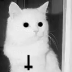 Profile Picture of Christopher Aldama (@Hi_Psycho) on Twitter