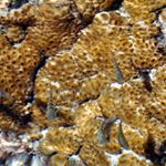 Profile Picture of dawn (@dawn_malikx) on Instagram