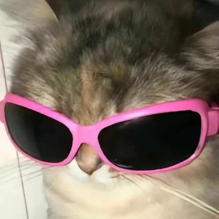 Profile Picture of Randolph Richards (@cxvws56213) on Tiktok