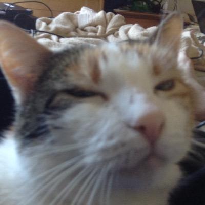 Profile Picture of Jonathan McLaughlin (@JonathanMcLaug7) on Twitter