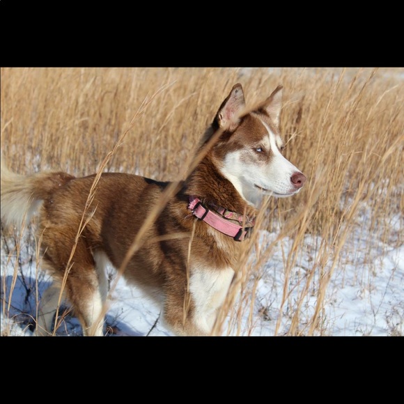 Profile Picture of Jonathan Strain (@kyle_32) on Poshmark