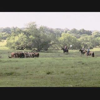 Profile Picture of Sonny Mathews (@sonny.mathews.5) on Facebook