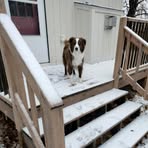 Profile Picture of Claudia Balcom (@claudia.balcom.2025) on Facebook