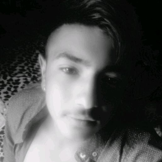 Profile Picture of Alex Davit (@alexdavit1) on Tiktok