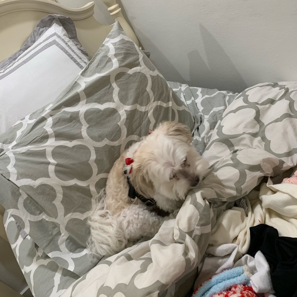 Profile Picture of Gabriella Chavez (@gabychavez_) on Poshmark