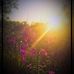 Profile Picture of Josh Reiter (@josh.reiter.1042) on Facebook