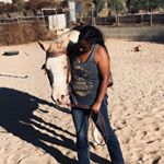 Profile Picture of Alex&Honey 💞🐴🍯 (@alex_calicowgirl_) on Instagram