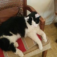 Profile Picture of Maxwell Pappas (@maxwell-pappas) on Quora