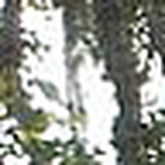 Profile Picture of Ivan Felipe  Alvarez Pulido (@ivapu89) on Flickr