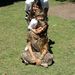 Profile Picture of Sole Moreno (@soledadreiki) on Pinterest