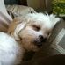 Profile Picture of Cody Harbison (@cody.harbison.14) on Facebook