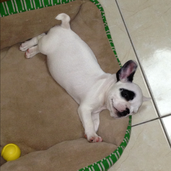 Profile Picture of Amaya Tarafa (@amayatarafa) on Poshmark