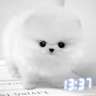 Profile Picture of Mark Jantzen F Gabat (@JantzenGabat) on Twitter