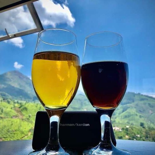 Lakewood Collins - Tiktok Profile Picture of Lakewood Collins (@collinslake) on Tiktok