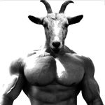 Profile Picture of G.O.A.TFit | Alex Chryssis (@g.o.a.tfit) on Instagram