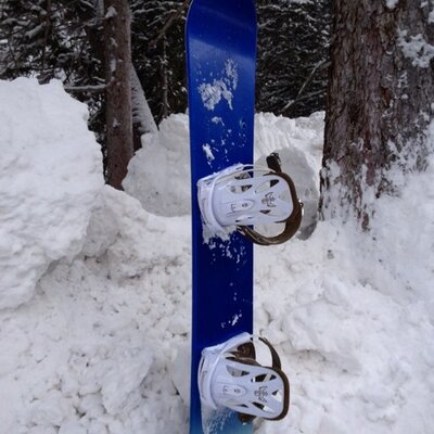 Profile Picture of Dmclellan (@Davidmclellan) on Twitter