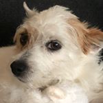 Profile Picture of mae long (@maeteneelong) on Instagram