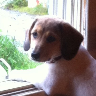 Randy Munn - Twitter Profile Picture of Randy Munn (@rand__munn) on Twitter