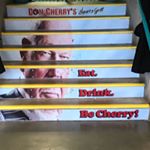 Profile Picture of Dane Andersen (@daneandersen1) on Instagram