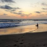 Profile Picture of Ariel Rojas (@alejandrojass_) on Instagram