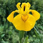 Profile Picture of Patricia O Reilly (@patricia.oreilly.963) on Instagram