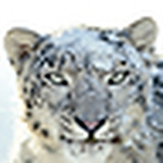 Profile Picture of SuperNovaGirl2010 (@SuperNovaGirl2010) on Flickr