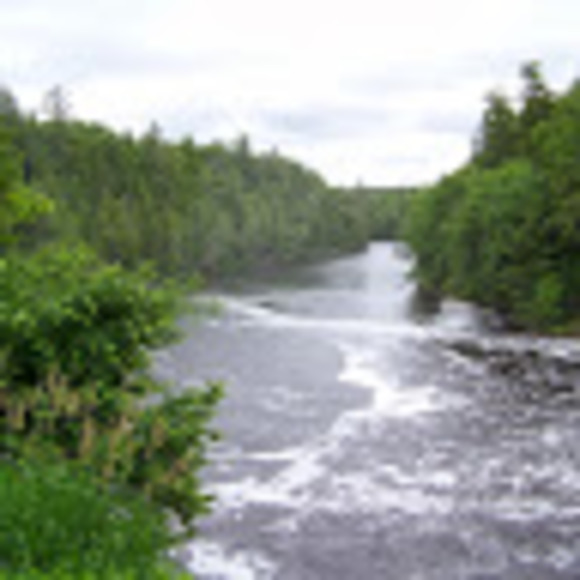 Profile Picture of Donna Mcelhenie (@donna_mcelhenie) on Poshmark