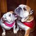 Profile Picture of Kim Fader (@uniacke1) on Pinterest