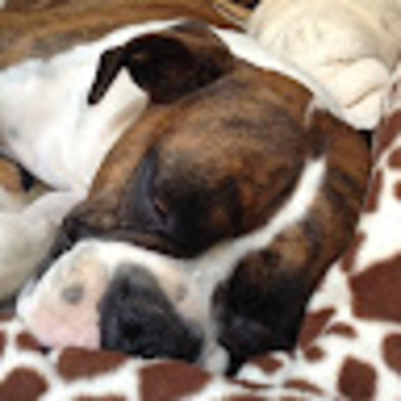 Profile Picture of Cassandra Tomerlin (@tomerlin9) on Poshmark