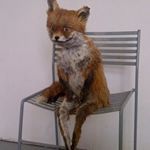 Profile Picture of Philip Mayer (@magentahobo2) on Instagram