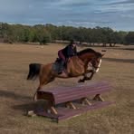 Jackie Eloise - Facebook Profile Picture of Jackie Eloise (@jaclyn.amato.1) on Facebook