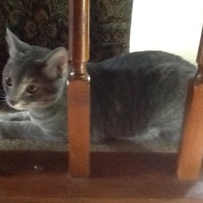 Profile Picture of Jim Allgeier (@AllgeierJim) on Twitter