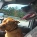 Profile Picture of Chris Heider (@cheiderman123) on Pinterest