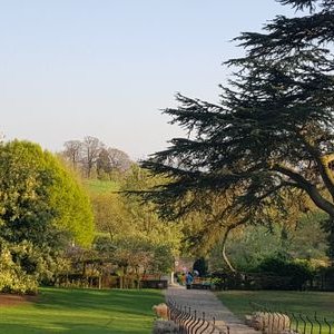 Profile Picture of Aster_Berhane (@aster_berhane) on Twitter