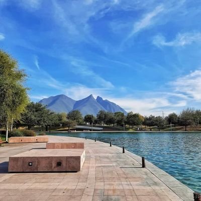 Profile Picture of Norma Falcon (@NormaFalcon19) on Twitter