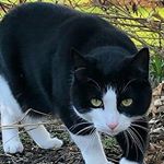 Profile Picture of Dr Lucas Patrick (@drlucaspatrick) on Instagram