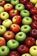 Profile Picture of Weight managementon Wikipedia