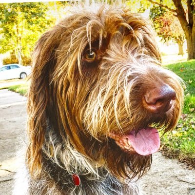 Profile Picture of Jason Halverson (@JBH80) on Twitter