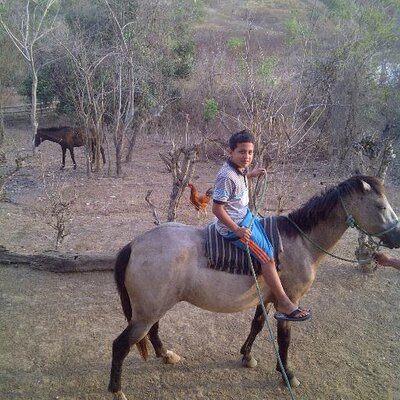 Profile Picture of Steven Ibarra (@stevenibarra7) on Twitter
