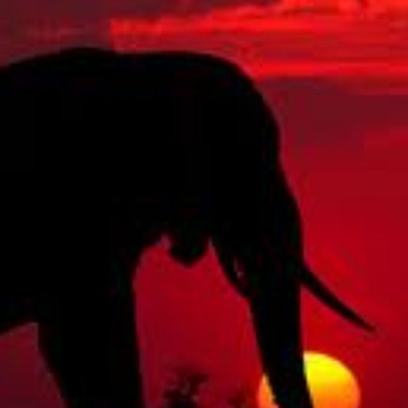 Profile Picture of Emily Quinn (@zhejiang94) on Poshmark