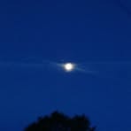 Profile Picture of Andrew Pomerantz (@andrew.pomerantz.18) on Facebook