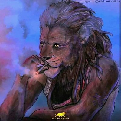 Profile Picture of @King$ip ¥ (@JaksonPfukl) on Twitter