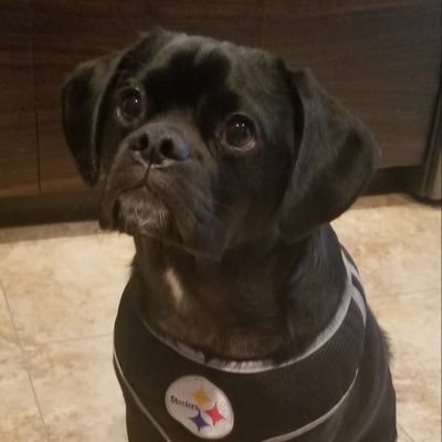 Profile Picture of David Klamer (@drk2406) on Twitter