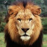 Profile Picture of James Kinser (@___james___kinser) on Instagram