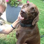 Profile Picture of Braxton Wayne Brummel (@bbrum920) on Instagram