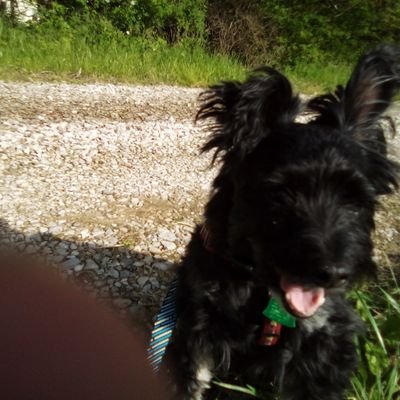 Profile Picture of Joel Donaldson (@JoelDonaldson12) on Twitter