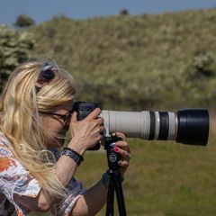 Profile Picture of nancyriksen2 (@nancyriksen2) on Tiktok