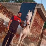 Profile Picture of Mandeep Bajwa (@mandeepbajwa_4900) on Instagram