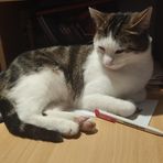 Profile Picture of Marita Lindner (@marita.lindner.792) on Facebook